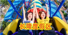 女人屄的视频