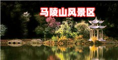 来干我的骚逼