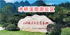 桃色视频草逼网站