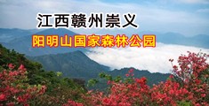 大胸大鸡鸡啊哈～